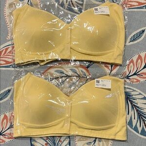 NWT DAISY BRA  SET OF 2